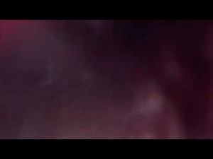 A cow swallows my GoPro. The Journey