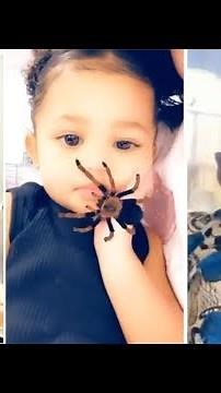 Spider Filter on Snapchat: Funny or Cruel? | Bite-Size News with Sam Jo | The Straits Times