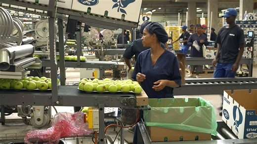 South African fruit exports face delays as Iran war disrupts global shipping routes