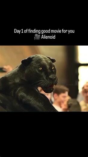 moviesforyou on Instagram: "Movie Name :-Alienoid इस वीडियो में अभिनेता Kim Woo-bin को दिखाया गया है, जो 'Guard' का किरदार निभा रहे हैं। उनके साथ एक रहस्यमयी काली पैंथर (Black Panther) है, जो वास्तव में उनका सहायक 'Thunder' है जो रूप बदलने की क्षमता रखता है। ​कहानी का संदर्भ: वीडियो की शुरुआत में पैंथर एक लग्जरी कार के ऊपर बैठा है और लोग उसकी तस्वीरें ले रहे हैं। वह अपने 'आका' (Kim Woo-bin) से मज़ाक में कहता है कि वह अभी नहीं आ सकता क्योंकि लड़कियां उसकी दीवानी हैं। लेकिन जैसे ही आका गुस्से में उस