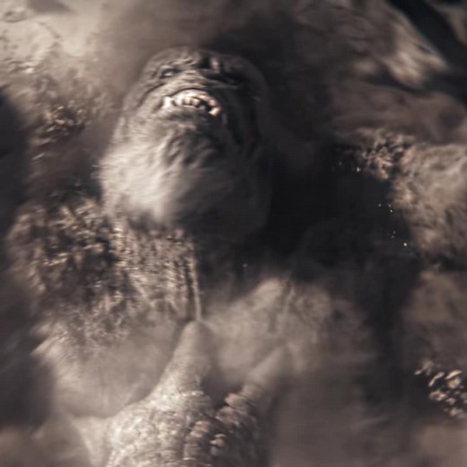 Kong and Mothra: An Epic Showdown in Edits