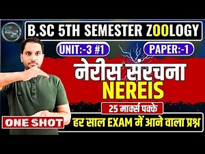 Nereis | Nereis Classification | Structure of Nereis | Nereis Bsc 5th Semester | Annelida