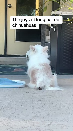 Swamp Donkey (@swampdonkey6)’s videos with Oh No - Kreepa