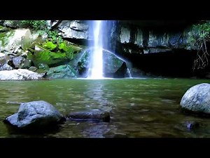 10 min Meditation music - Alpha waves 12hz - Relax Business Focus Meditation