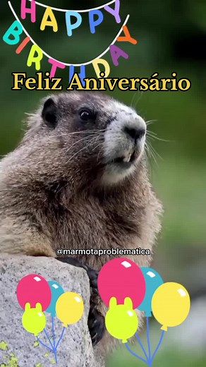 Feliz Aniversário Engraçado - Vídeos Divertidos de Parabéns