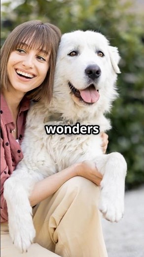 Cats PURR Can Actually Heal You