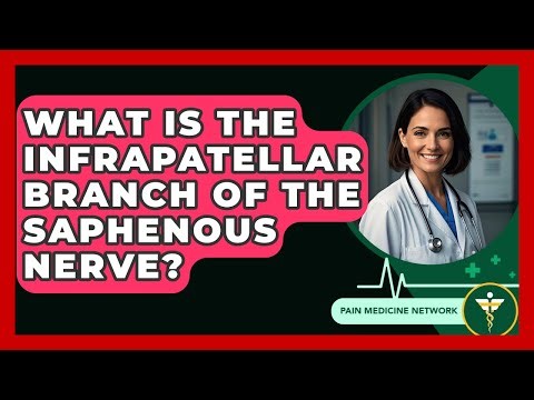 What Is The Infrapatellar Branch Of The Saphenous Nerve? - Pain Medicine Network
