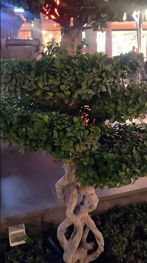 Tunak tunak tuna,,#viralshort