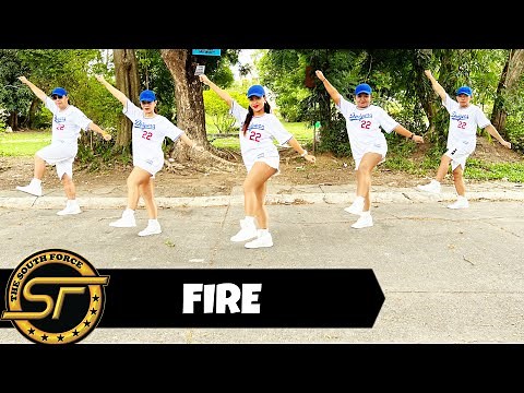 FIRE - 2ne1 | Dance Trends | Dance Fitness | Zumba