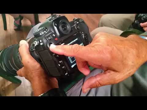 Setting Back Button Focus on Nikon Cameras