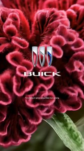 221 reactions | Spacieux et luxueux, le Buick Envision 2025 vous offre un confort raffiné sans faire de compromis en matière de polyvalence. | Buick Québec | Facebook