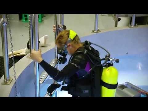 Aquarium dive - Create Explore Learn