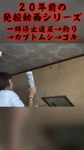【発掘動画】捕まって釣りやってカブトムシ捕まえてゴキを逃す【20年前】