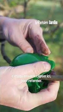 Expert gardening tips for effortlessly propagating a fig tree from cuttings