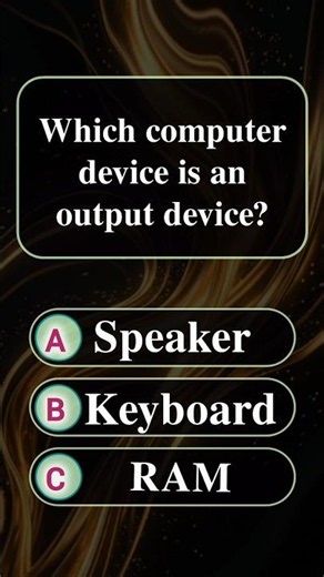 Which computer device is an output device?