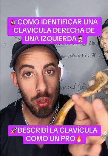 ¿CÓMO SABER SI LA CLAVÍCULA ES DERECHA O IZQUIERDA?