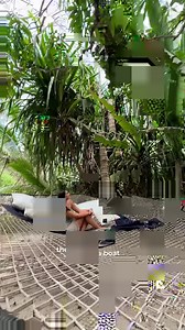 Go beyond the ordinary and discover Puerto Vallarta's best beach clubs, Casitas Maraika and Majahuitas Beach Club, which are accessible only by boat! 🚤🇲🇽 📍 Puerto Vallarta, Mexico 🎶 Novembers - Hillside Beach Club - No Backing Vocals 🤝 In partnership with Puerto Vallarta, Mexico #ad | Beautiful Destinations