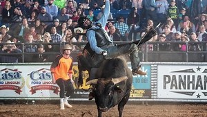 His career resume reads titles such as National High School (2011) and College National Finals Bull Riding Champion (2013), 2018 Tuff Hedeman El Paso Champion, and now 3x consecutive NFR qualifier. Our bull rider spotlight tonight is all about Utah cowboy, Tyler Bingham! 💥 Click here to read —> bit.ly/2K7vqFv | Tuff Hedeman