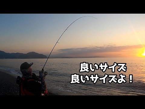 シラスベイトの攻略方法【スーパーライトショアジギング】