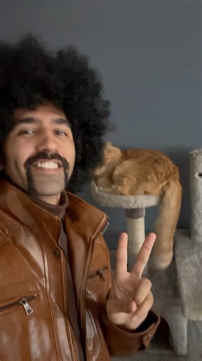 Outfit check: 1970s edition 🌼 Kermit’s my toughest critic 😹 #catdad #catlovers #cats #orangecat #70s | Javie and Mr. Kermit