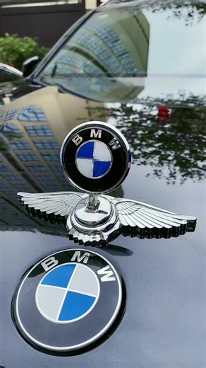 Enhance Your Ride with Stylish Car Hood Logos