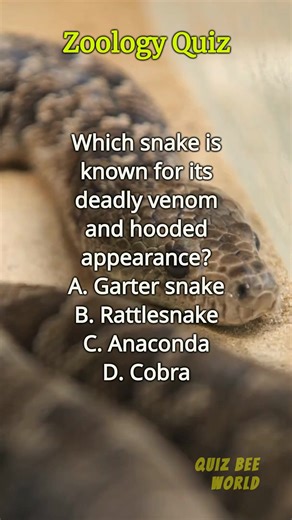 28K views · 2.1K reactions | Zoology Quiz 2 #fbreels #QuizTime #quiz #shortsreels #shorts #questionoftheday #questionschallenge #science #zoo #zoology #animalworld #animalsvideos #animals | Quizbee World | Facebook
