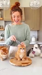 98K views · 719 reactions | Cat Cake Cutting Prank #reels #fbreels #cat #catcake #cake #cakeart #cakedesign #funnyanimals #funny | Best Blogs | Facebook