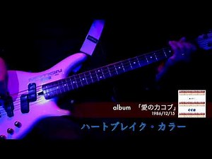 C-C-B ベース弾いてみた『ハートブレイク・カラー』（1986年リリースのアルバム「愛の力コブ」より）