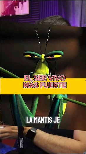 Mantis es el más fuerte de Kung Fu Panda #kungfupanda #dreamworks #cine