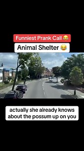 3.3M views · 53K reactions | Animal Shelter Prank Call  #prankcall #viralvideos #ukcomedy #animal #shelter #fyp #funny #CapCut Prank Calls | Prank Calls | Facebook
