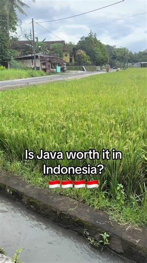 Chad & Mia Bali Family Travel on Instagram: "Is Java worth visiting in Indonesia? Watching ducks cross the road while you bike through the countryside… absolutely yes 🦆💛 Plus the smiles and waves from everyone will melt your heart 🫶🏼"