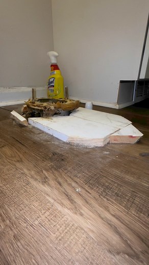 17K views · 70 reactions | Easy Toilet Flange Replacement #plumbing #plumber #plumbproud #plumblife #bathroom #bathroomremodel #bathroomrepair #toilet #toilethumor #toiletrepair #plumbingrepair #diy #howto #asmr #reels #reelsvideo #reelsviral #serviceplumber | Theconservativeplumber | Facebook