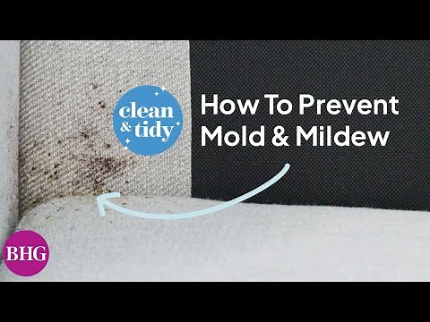 How to Kill Mold and Mildew | Clean & Tidy | Better Homes & Gardens