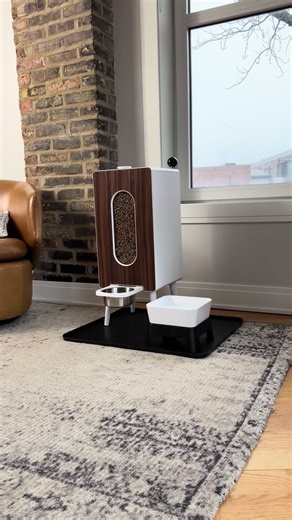 Elevate Your Feeding Experience with Stylish Dog Feeders