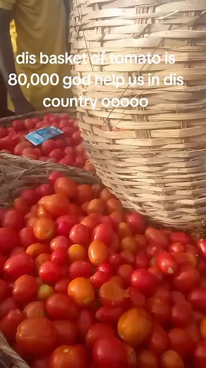 bola (@bola5129)’s videos with original sound - bola