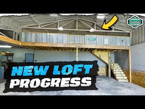 Dream Shop Upgrades! Finally using the Old Galvanized Tin!