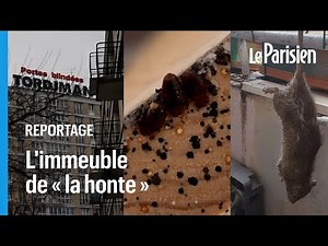 Rats, punaises de lit et périphérique : le calvaire sans fin des habitants de la cité « Python »