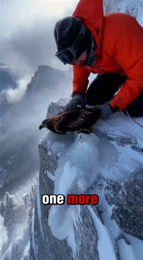 He Risked His Life to Save a FROZEN Eagle! 😱🦅 #animalrescue