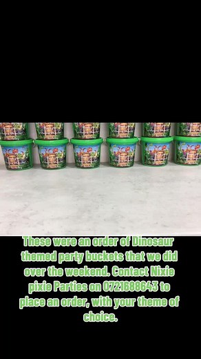 Nixie Pixie Parties on TikTok