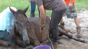 The Bone Yard Documentary Trailer