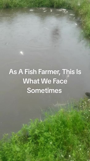 Have You Ever Experienced This?