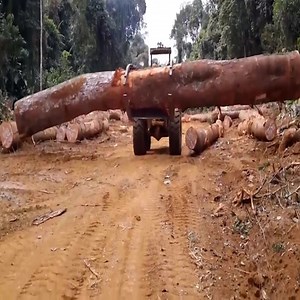 Amazing Oversize Heavy Equipment Driving | Magic