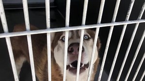 1.5K views · 105 reactions | ALL STILL THERE!! July 9,2020 San...