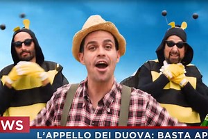 Il ballo delle api: il tormentone dell'estate per salvarle