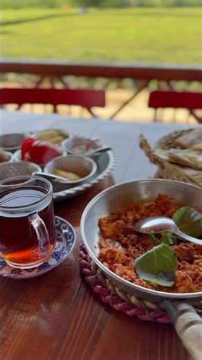 Tea Bagh – Stunning Tea Garden in Fuman, Gilan Iran