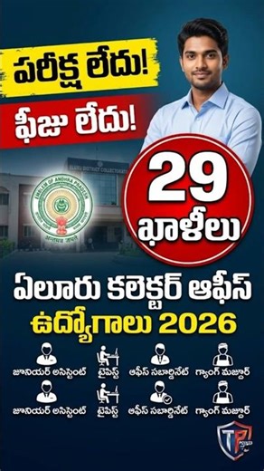 🚨 AP Collector Office Jobs 2026 | No Exam | 29 Posts #shortstelugu #apjobsnotification #10thpassjobs