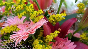 Download Colorful Bouquet of Flowers for free