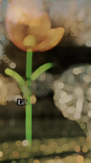 Choosing Happiness: Transform Your Life Through Choices