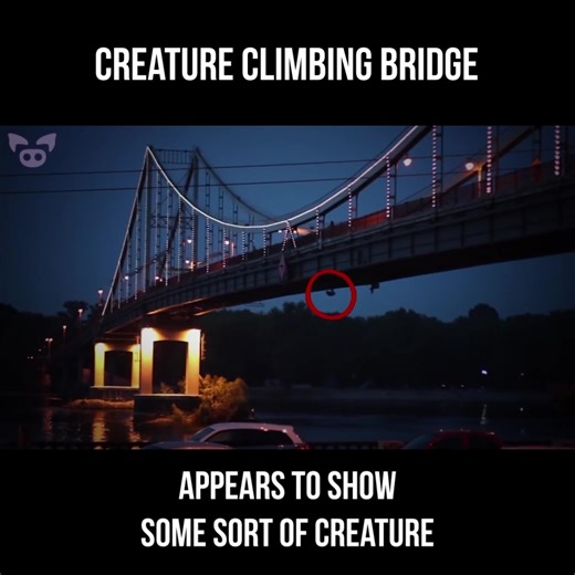 Creature Climbing Bridge ⚠ #Scaryvideos #SlappedHam #Hauntedtiktok #Creepy #Cryptid #Horror #Spooky #Creature #YouTube #Scarytiktoks #Paranormal #FYP