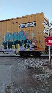 CSX train locomotive 🚂🚃🚃🚃 #train #traindriversview